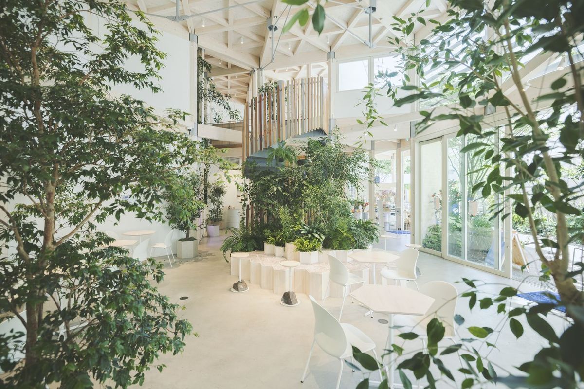 代官山TENOHAの内観