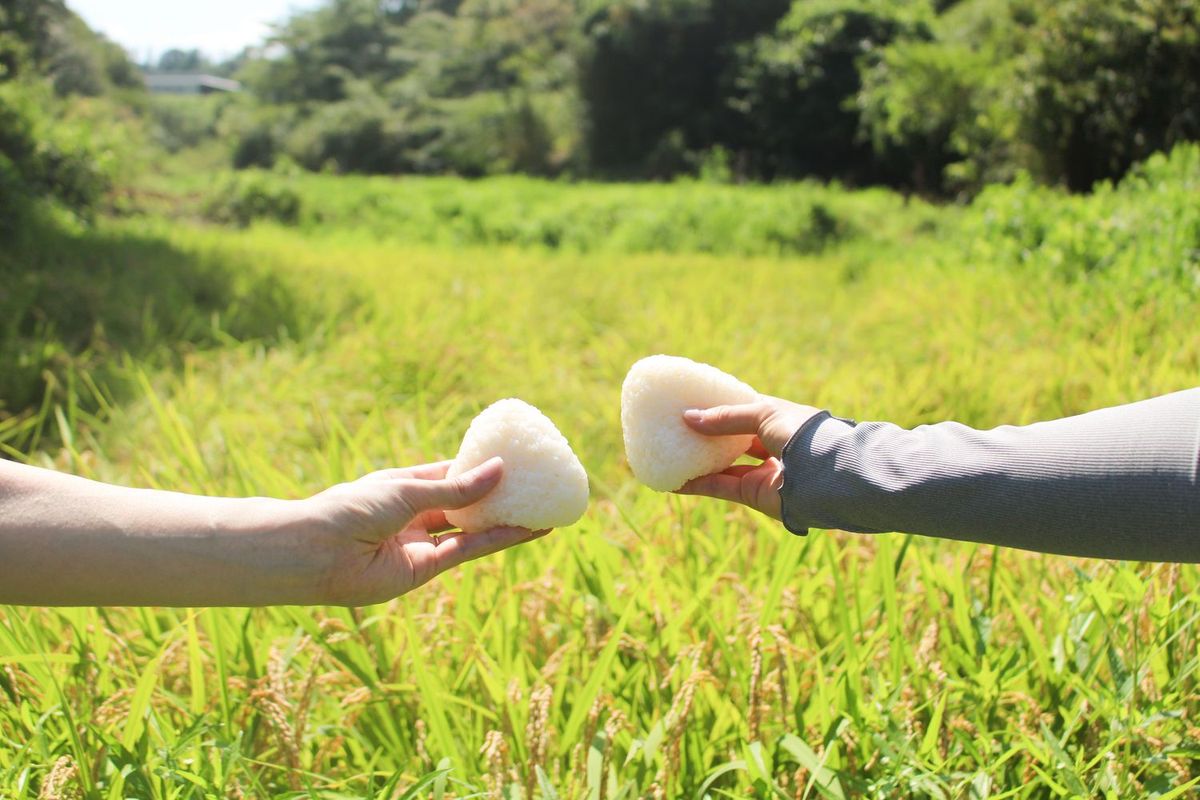 おにぎりで1000人とつながろう イメージ写真