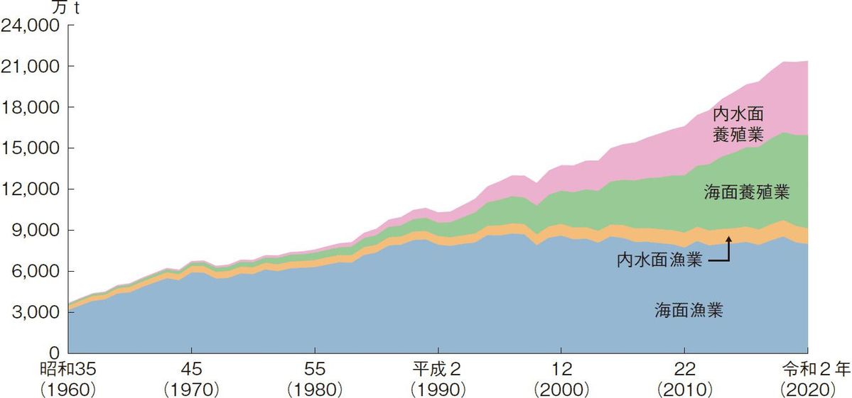 世界の漁業・養殖業生産量の推移データ画像