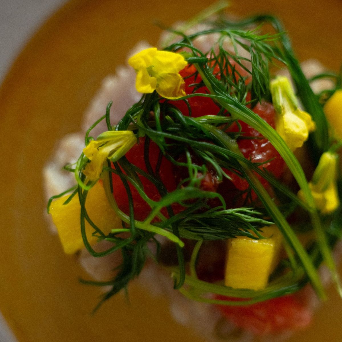 提供メニュー イメージ写真