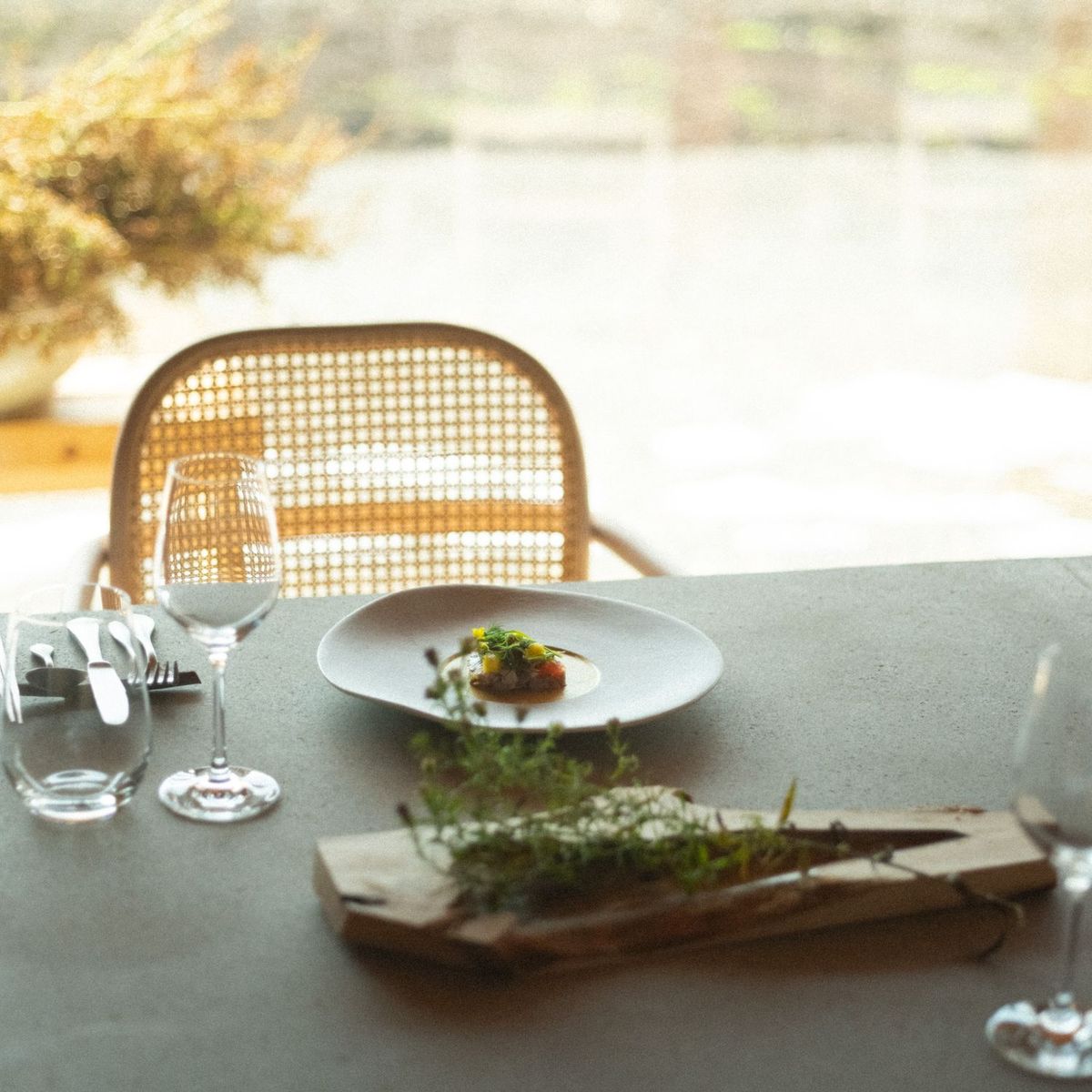 MORISHIRO 提供イメージ