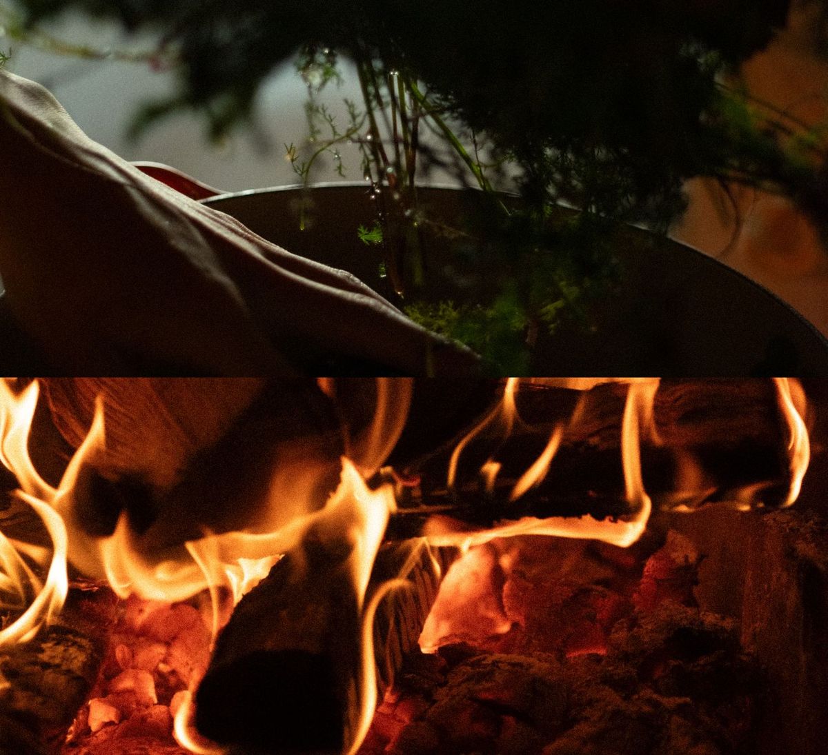 MORISHIRO イメージビジュアル