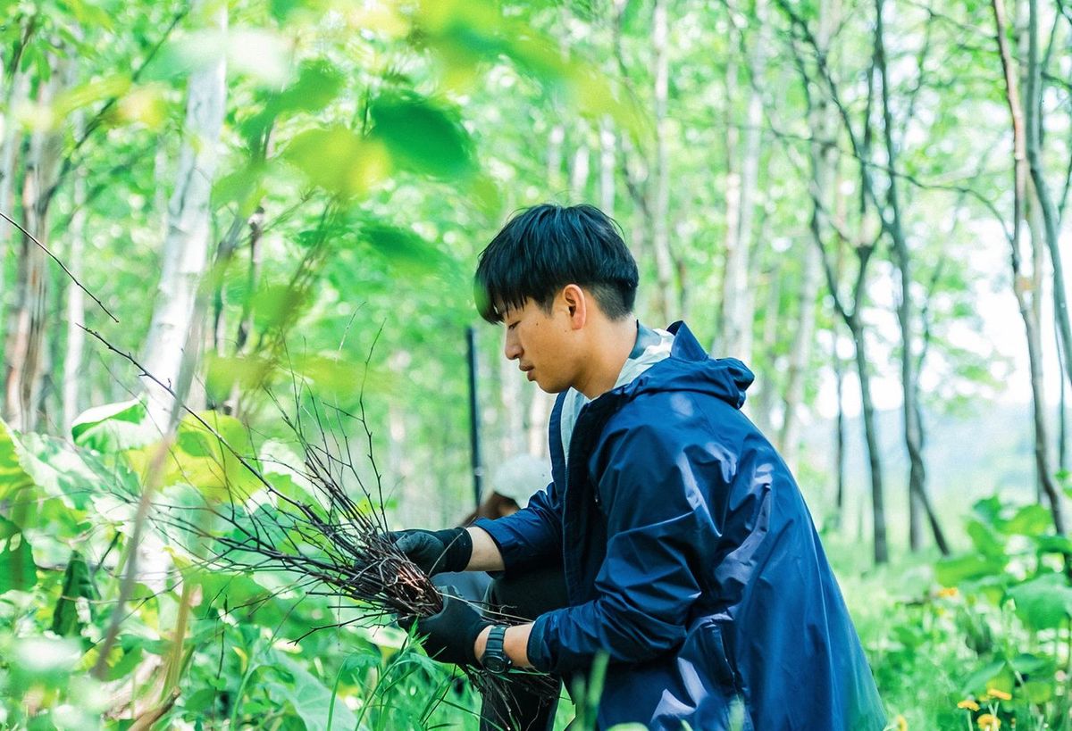 白樺の枝をアップサイクルした特別なリードスティック
