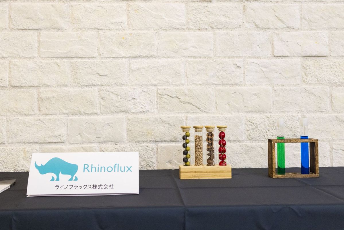 ライノフラックスによる展示