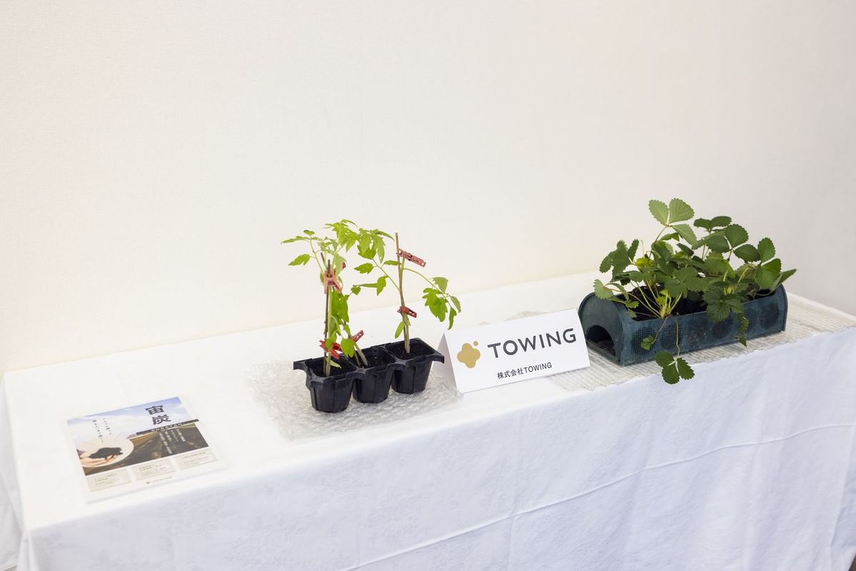 TOWINGによる展示