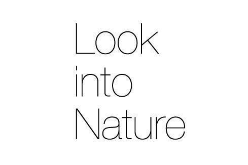 自然と共生する空間づくりを目指して