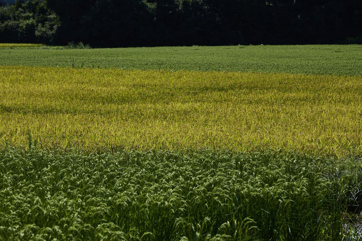 ハビタットモザイクの写真