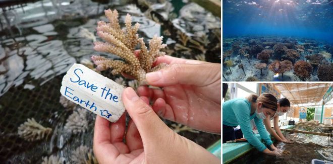 大人の修学旅行 イメージビジュアル