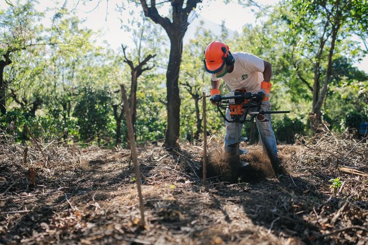 スターバックスが新自社農園「バレー オブ ボルケーノ農園」にて初めて
