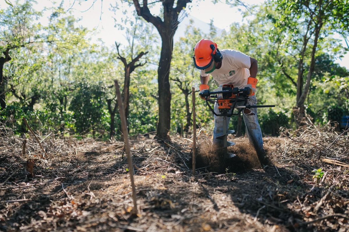 バレー オブ ボルケーノ農園 写真