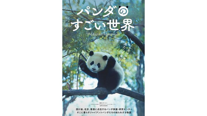 中国・生態系保全の取組みを初公開！ パンダの一生に密着した『パンダ