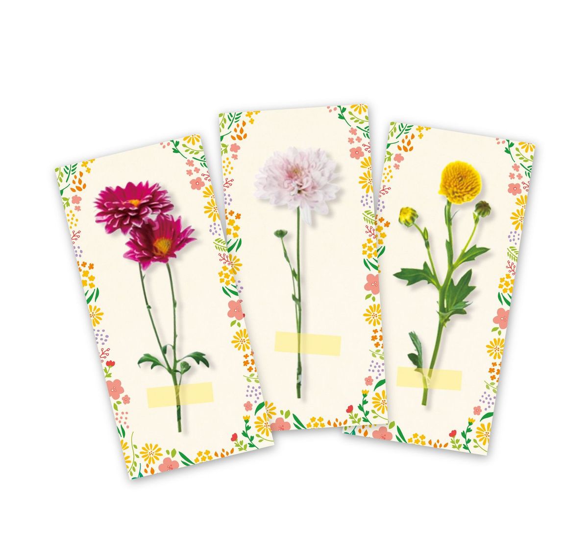 ロスフラワー イメージ写真