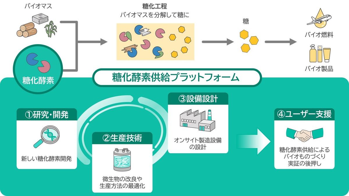 糖化酵素供給プラットフォームの構築