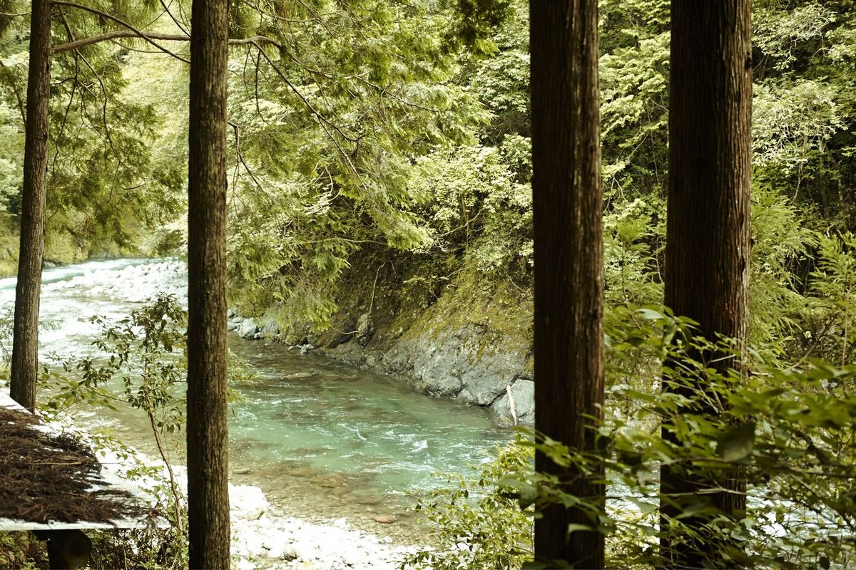 高知の森林資源を活かした木のおもちゃづくり