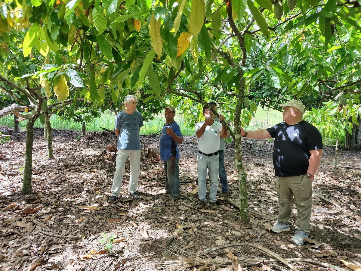 2023年から累計約25万本の植樹を達成——年ごとの実績