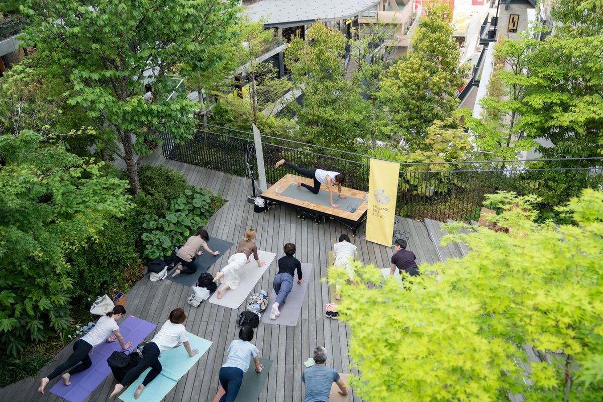 50以上のウェルネスブランドが集まるマルシェエリア-2