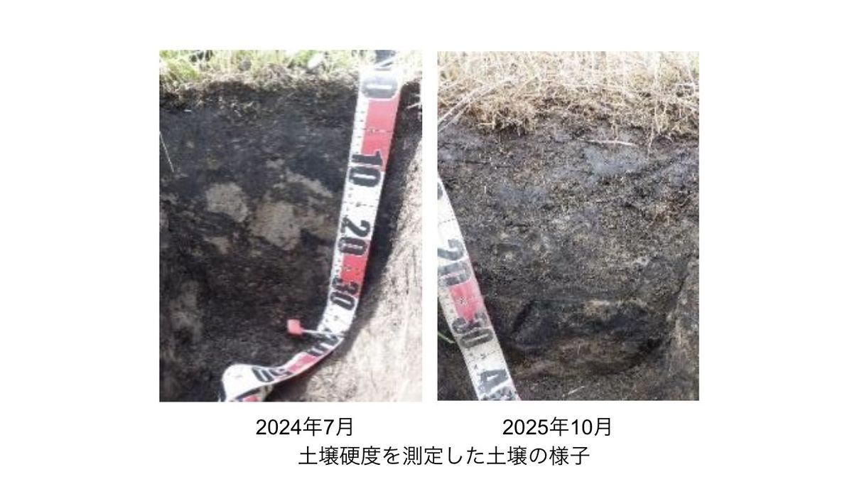 土壌硬度を測定した土壌の様子