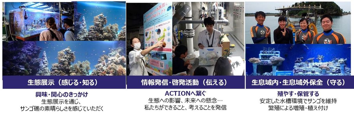 サンシャイン水族館、「サンゴプロジェクト」