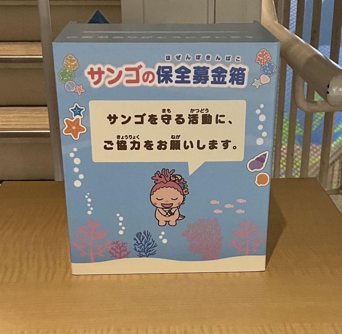 サンゴプロジェクト募金箱