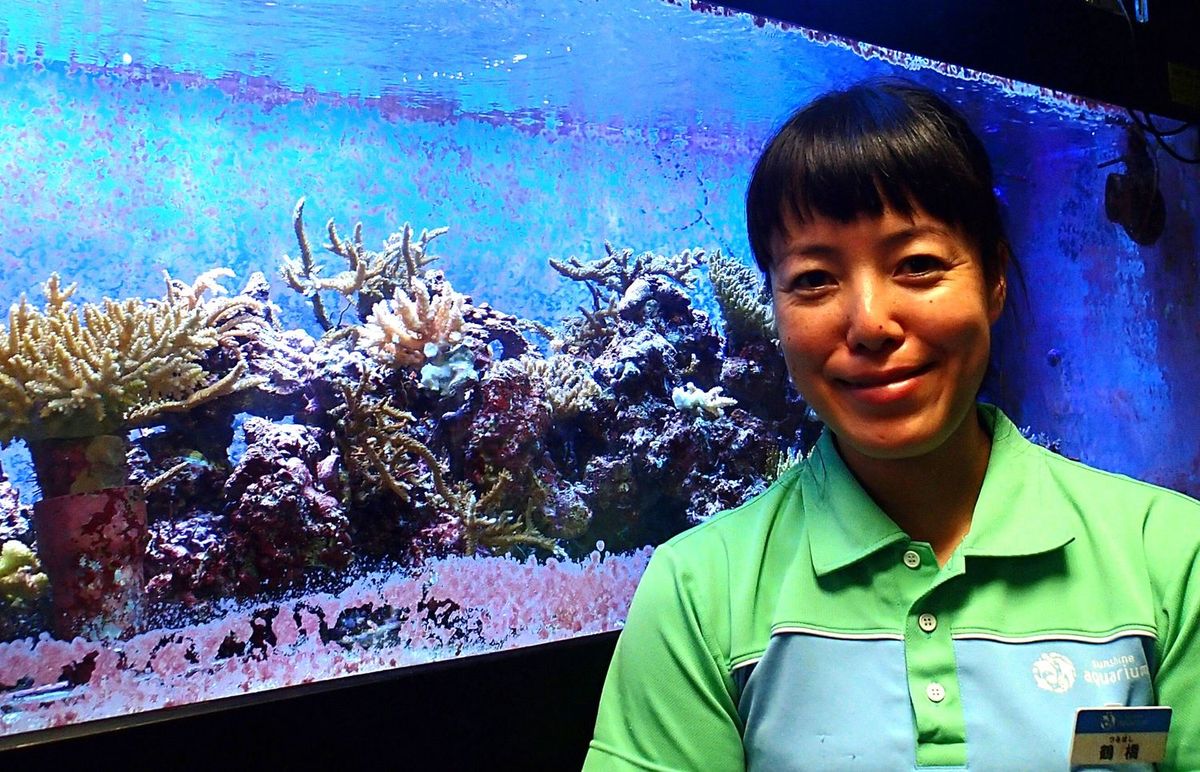サンシャイン水族館飼育スタッフ 鶴橋梓 氏