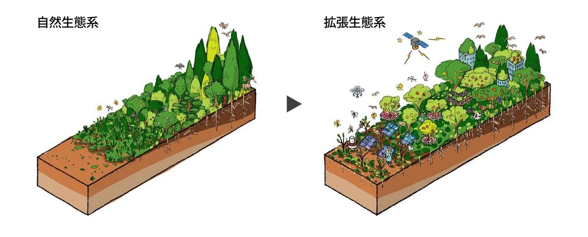 拡張生態系