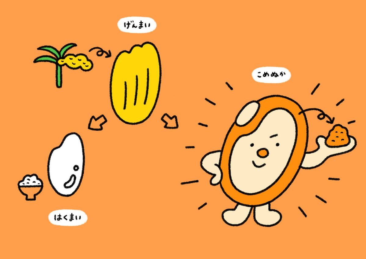 つの食品　玄米とこめぬか
