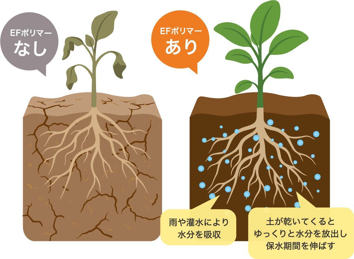 ゆず栽培での実証実験