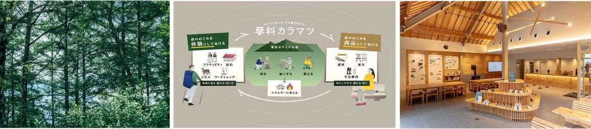 「蓼科カラマツ」による地域経済活性化