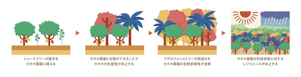 アグリフォレストリー全体図