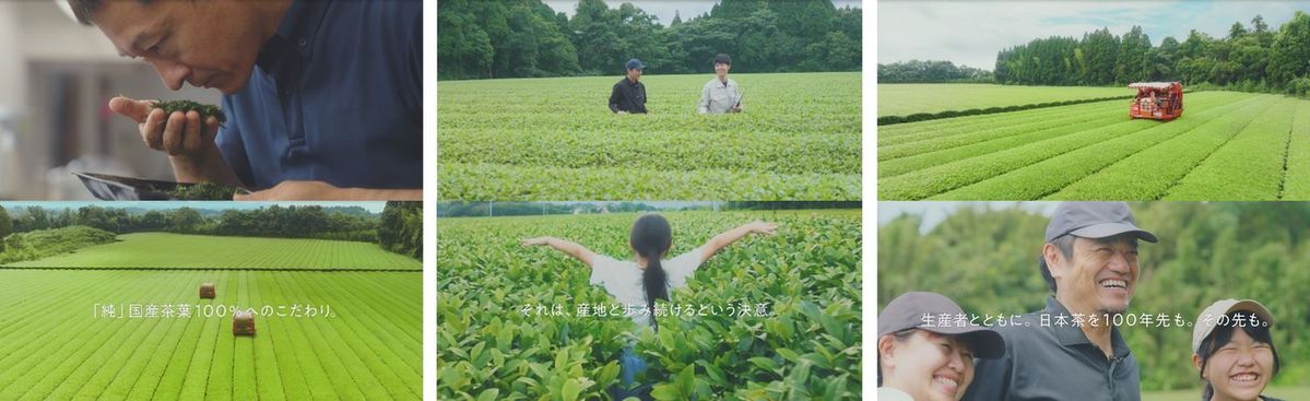 伊藤園「日本茶を100年先も。」特設サイト
