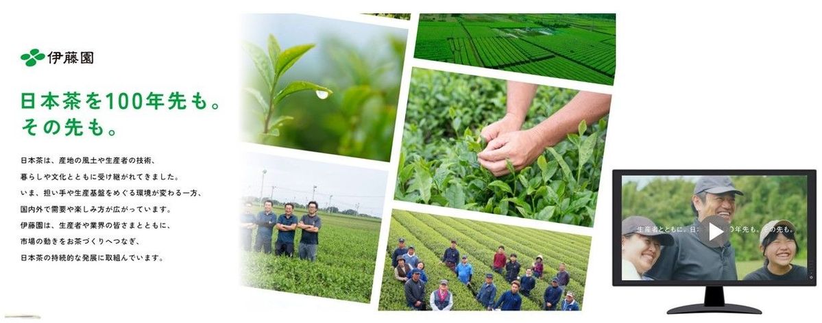伊藤園「日本茶を100年先も。」特設サイト