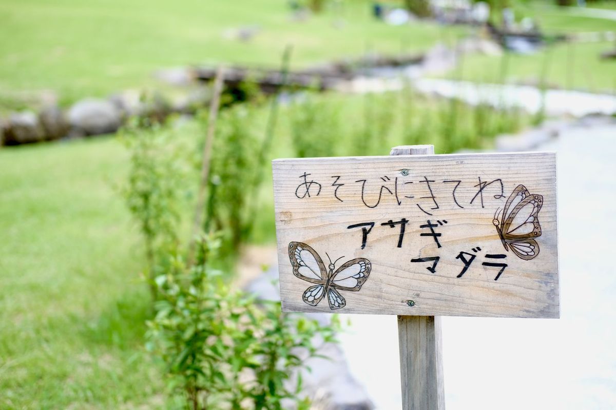 サントリーが熊本で取り組む湿地再生の近くにある公園