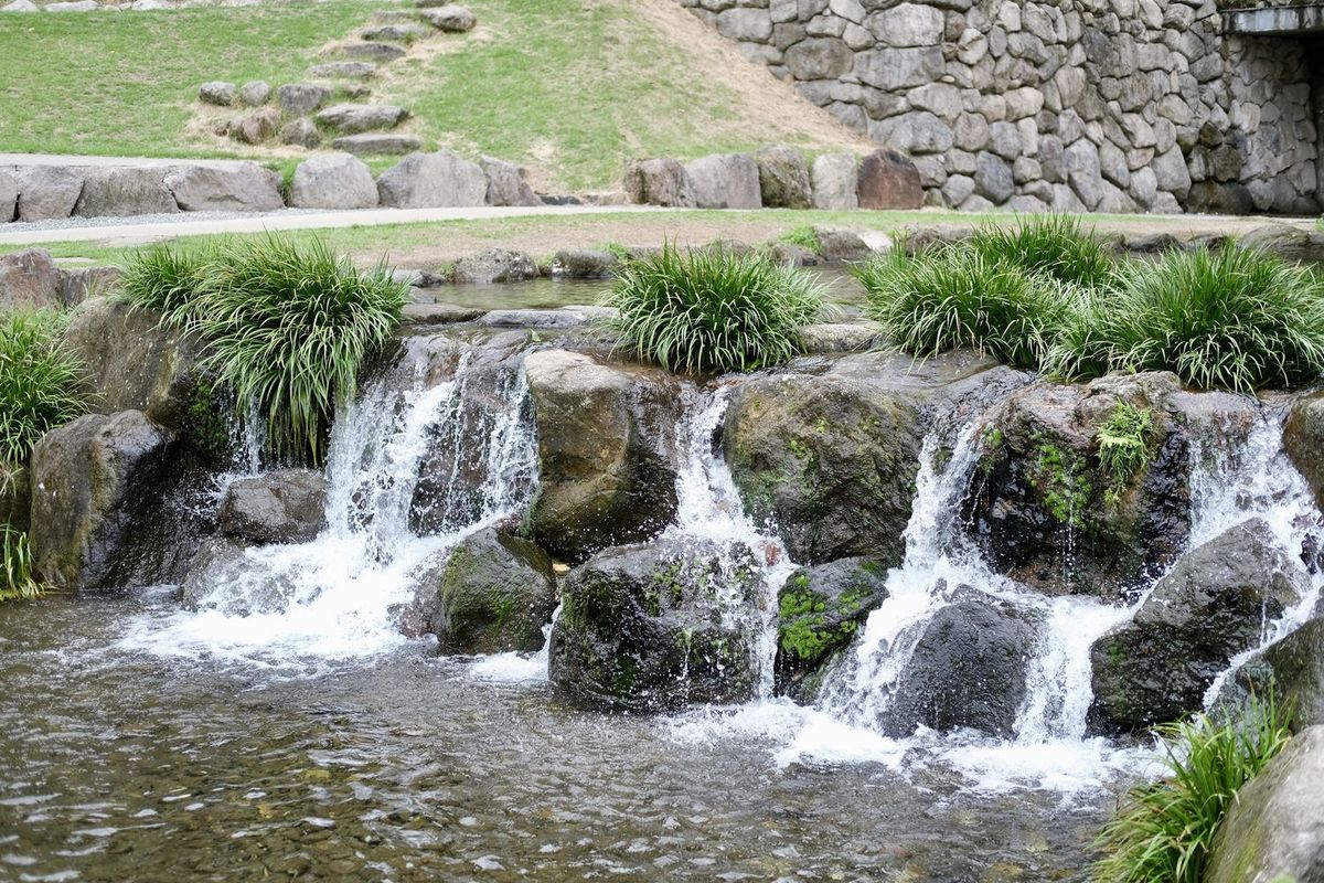 サントリーが熊本で取り組む湿地再生の近くにある公園