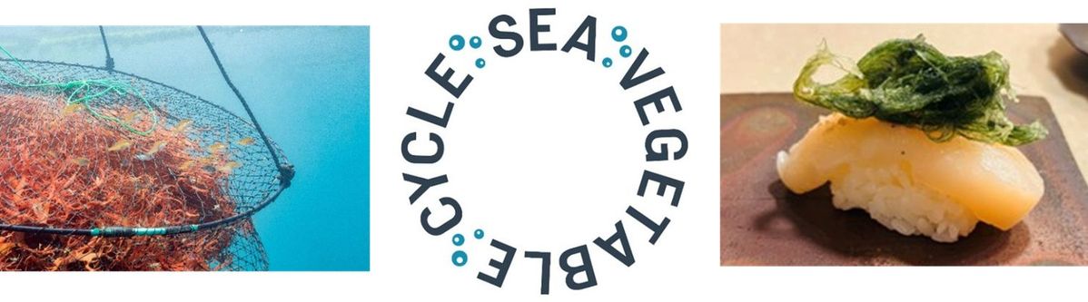 SEA VEGETABLE CYCLE