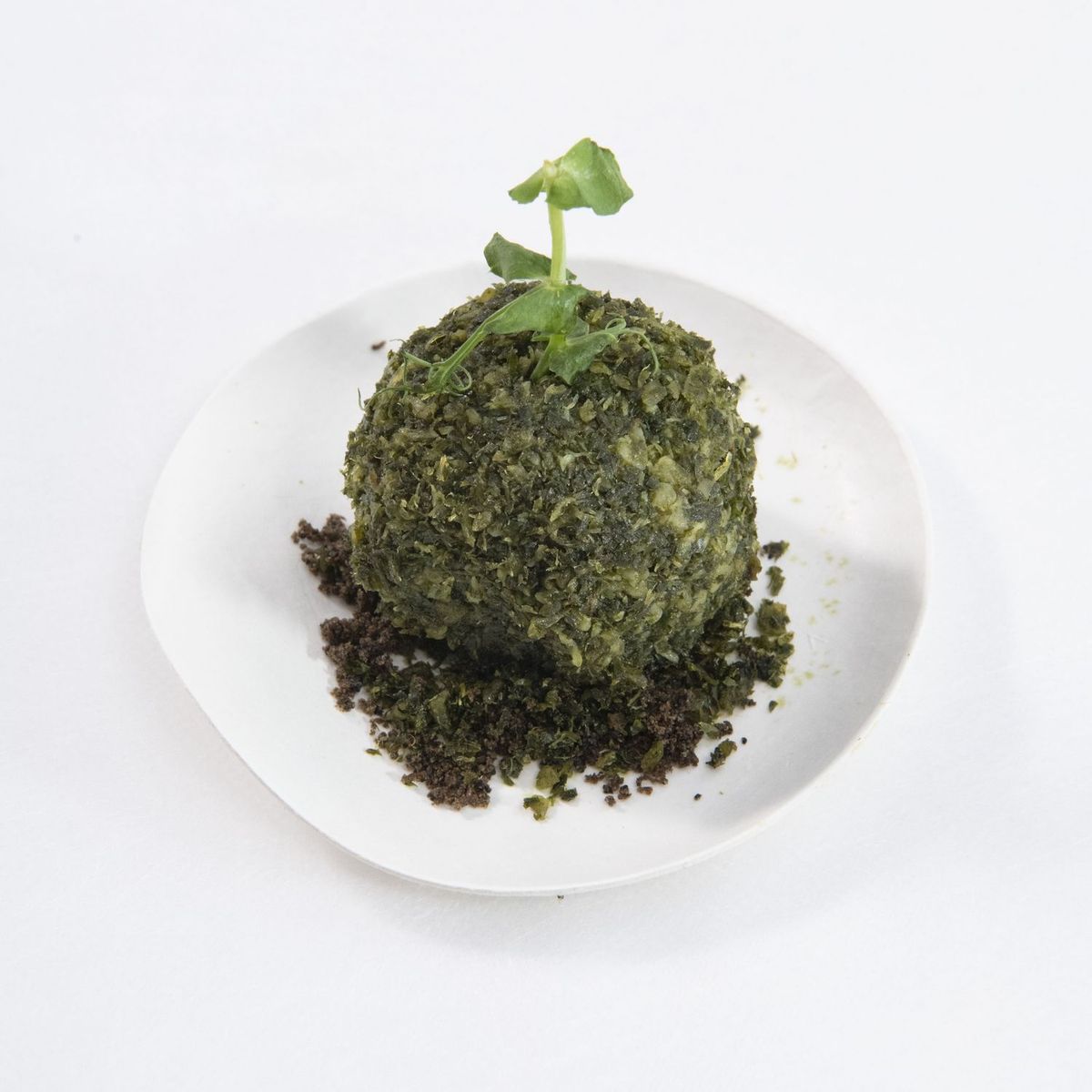 MOSS BALL（苔玉）