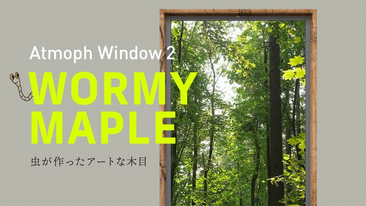 Atmoph window 2 Wormy Maple ( ワーミーメープル ) Atmoph window 2 Wormy Maple (ワーミーメープル)