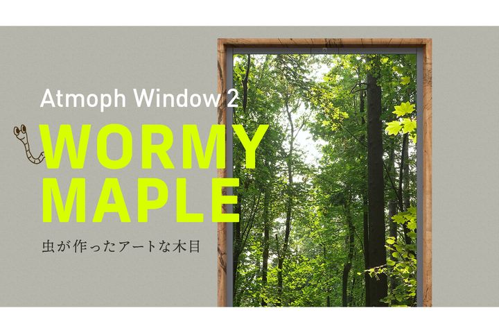 虫食い木材がおしゃれな木枠に 「ワーミーメープル」がクラウドファン 
