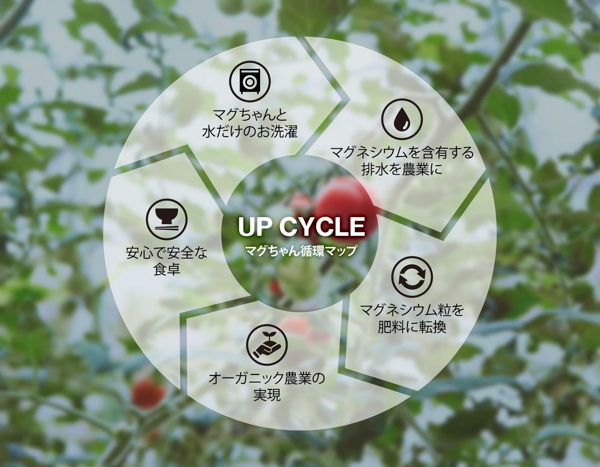 洗たくマグちゃんの循環マップ