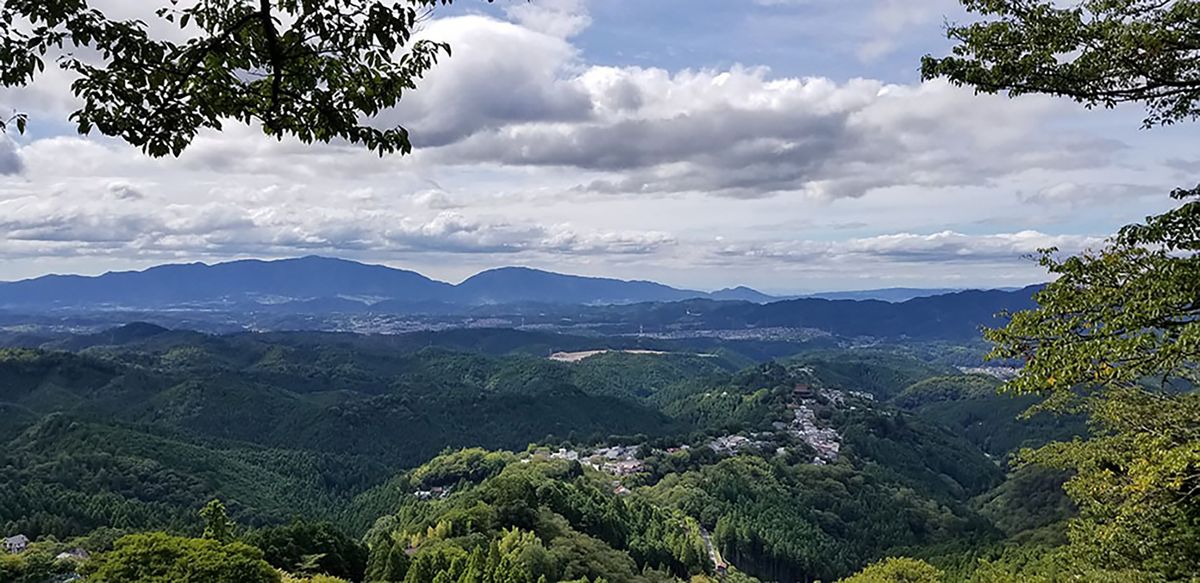 奈良・奥大和の山林