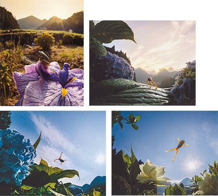 2019年度 自然部門 シルバー賞 『あの朝陽に跳べ』 加藤 健