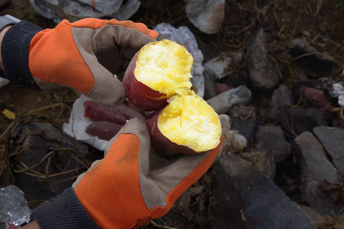 石焼き芋を割った様子