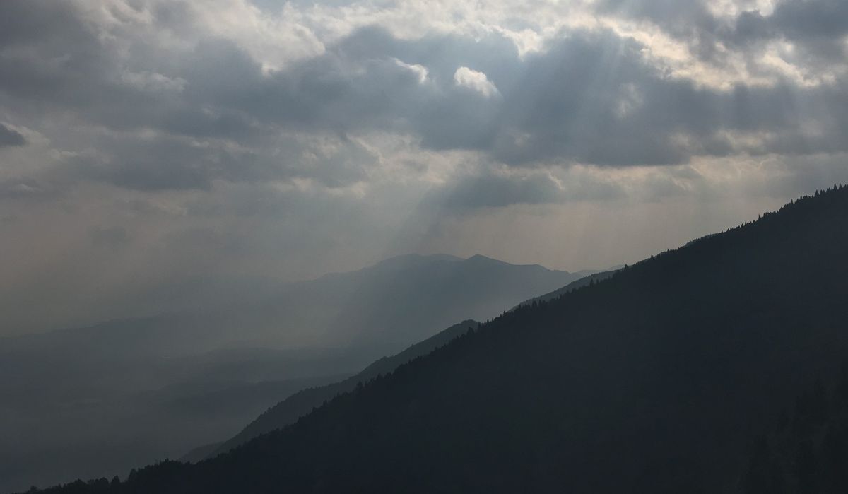 「Meguriwa（めぐりわ）展」コンセプトフォト