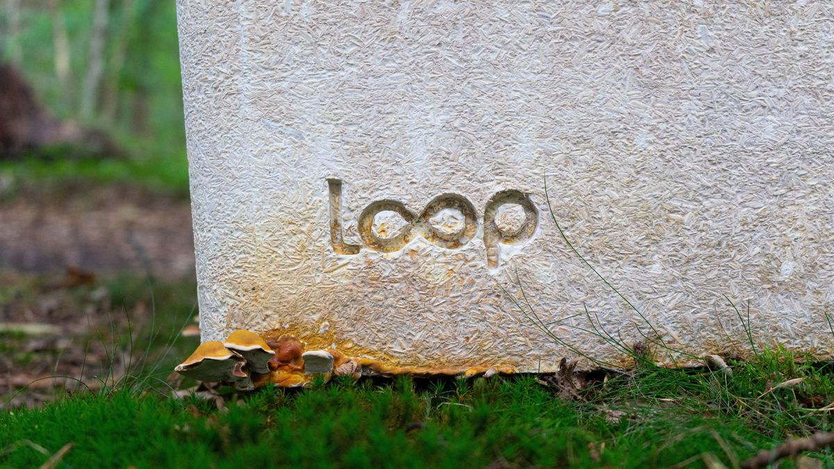 「Loop」のイメージ画像②