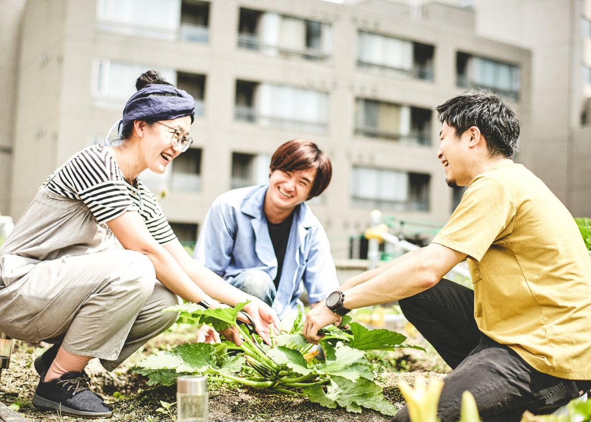 野菜を収穫している人たち