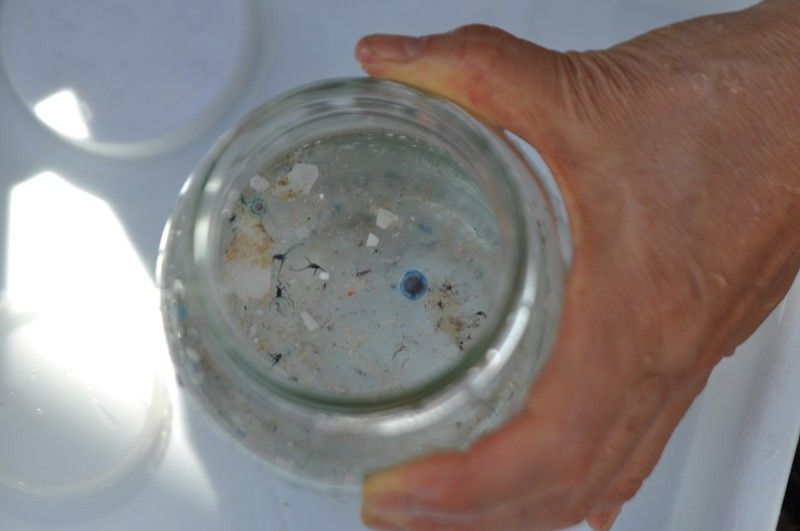 北緯20度付近でも見られるマイクロプラスチック