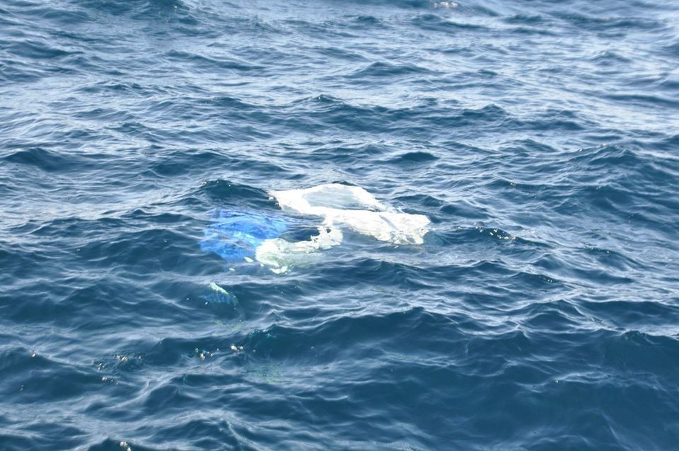 外洋で見る大きな漂流プラスチックごみ