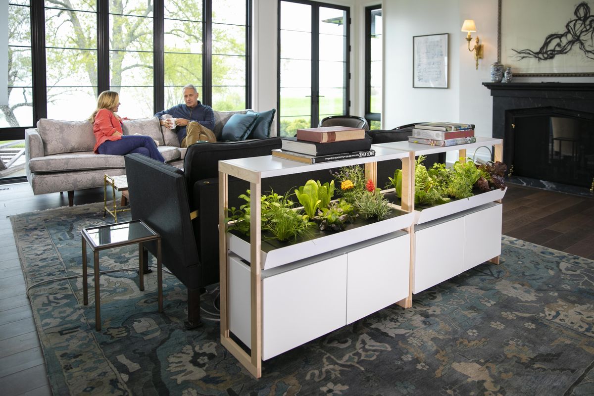 「Family Garden」シリーズのイメージ画像①