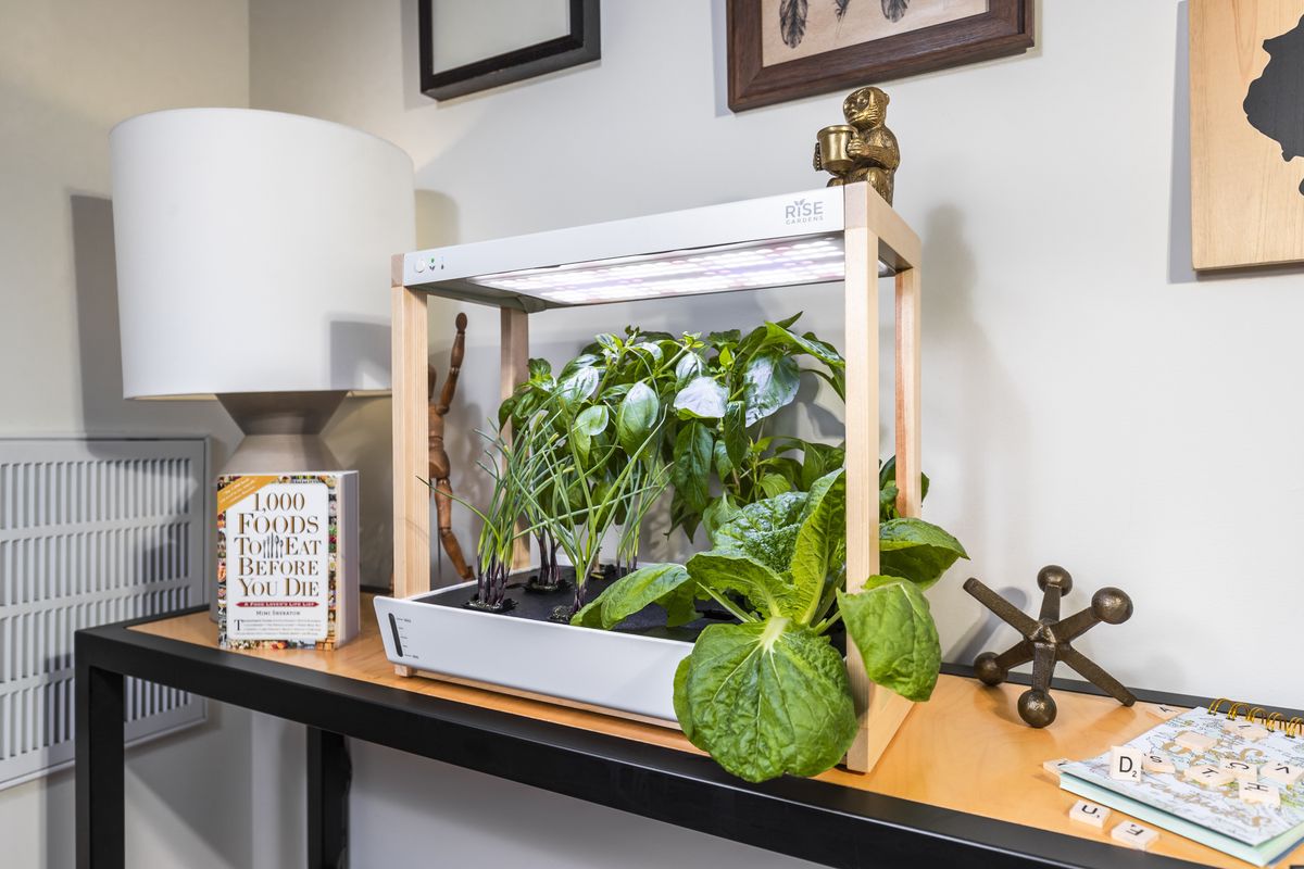 「Personal Rise Garden」のイメージ画像①