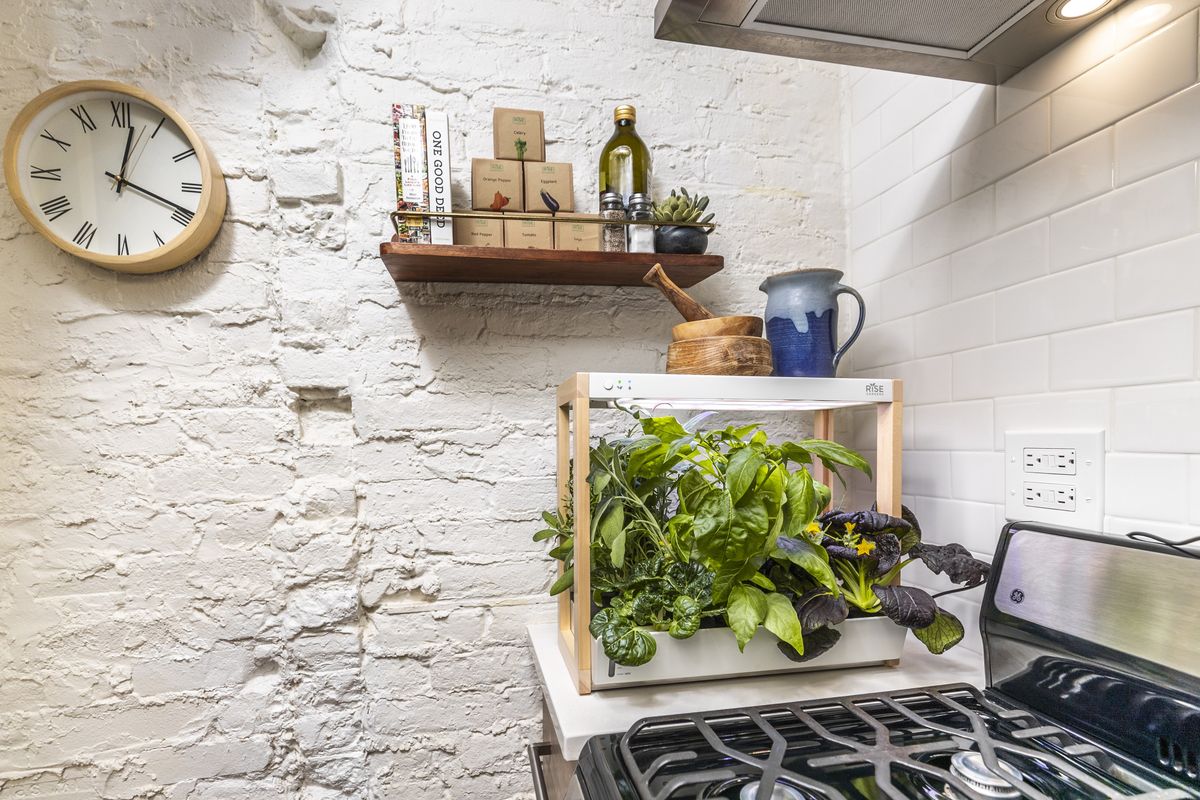 「Personal Rise Garden」のイメージ画像②