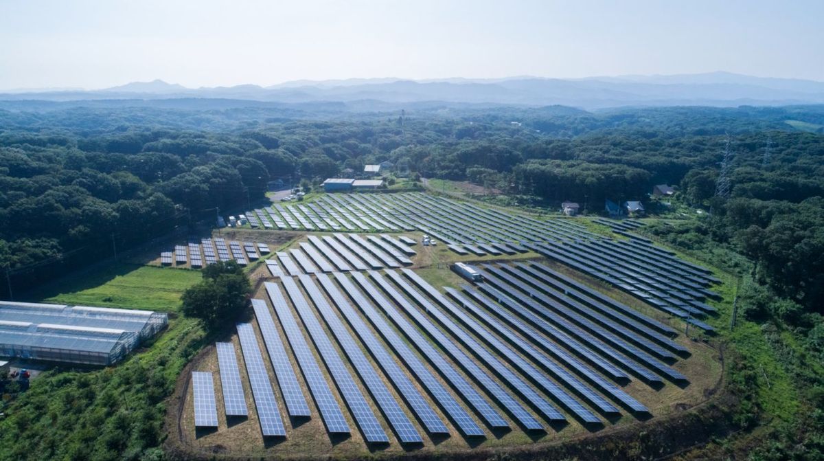 地面に設置された太陽光パネル